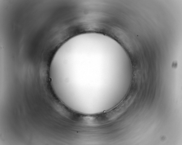 X0000103930265200809191357