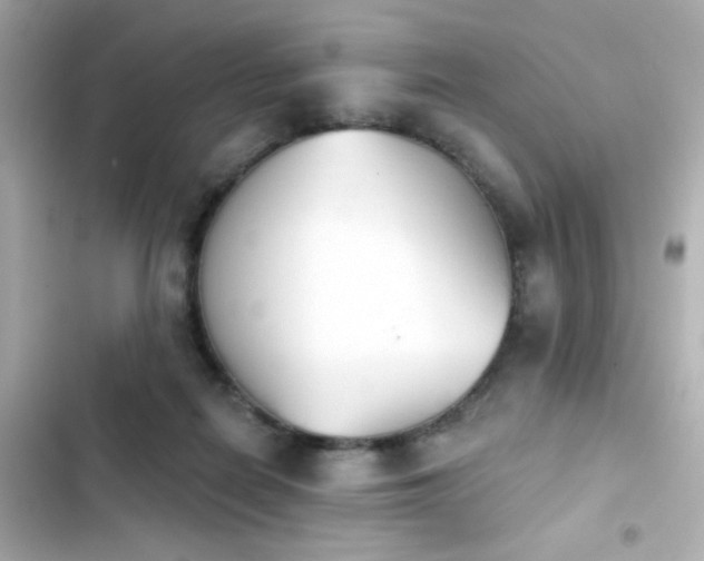 X0000103930266200809191357