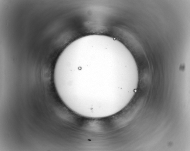 X0000103930268200809191357