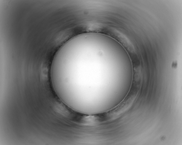 X0000103930269200809191357