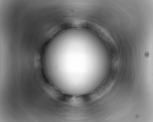 X0000103930270200809191357