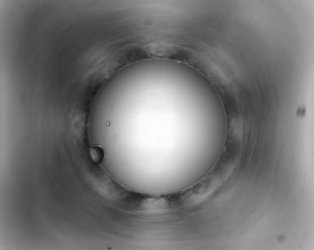 X0000103930271200809191357