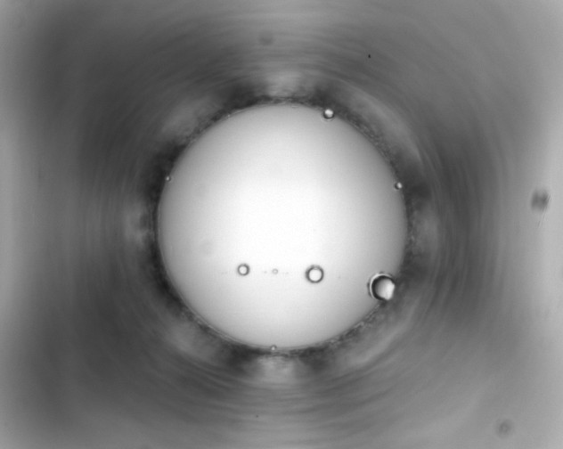 X0000103930272200809191357