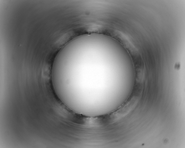 X0000103930273200809191358