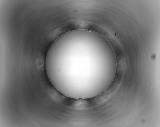 X0000103930274200809191358