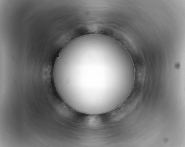 X0000103930275200809191358