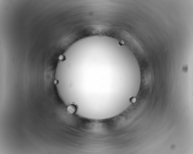 X0000103930276200809191358