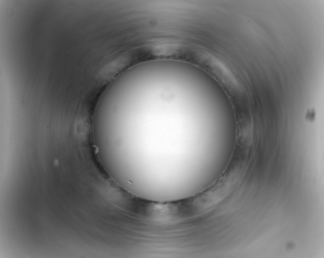 X0000103930277200809191358