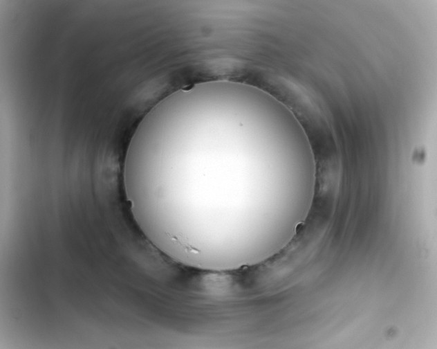 X0000103930279200809191358