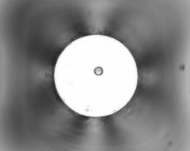 X0000103930280200809191358