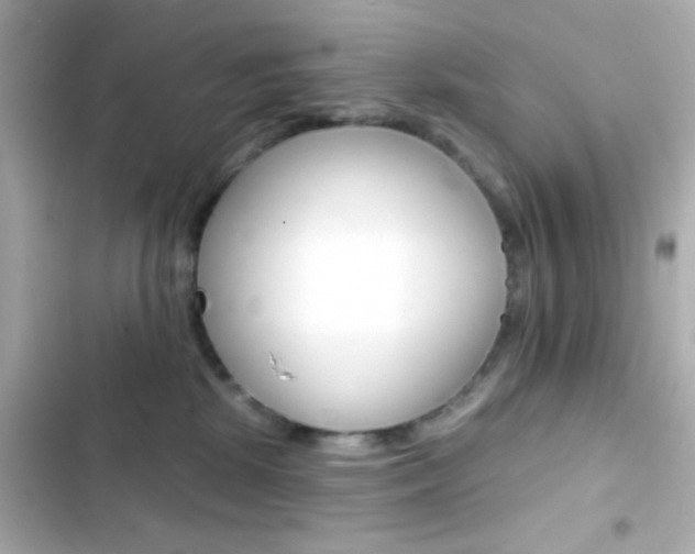 X0000103930281200809191358