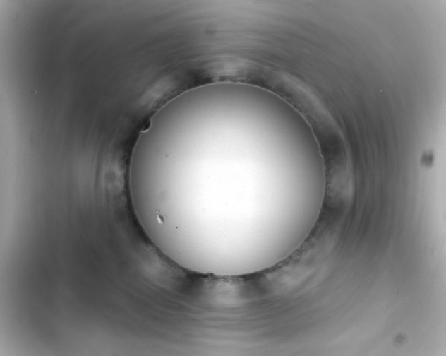 X0000103930282200809191358