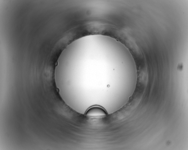 X0000103930283200809191358