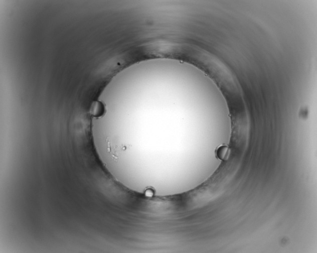 X0000103930284200809191358