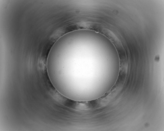 X0000103930285200809191358