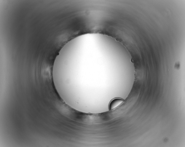 X0000103930286200809191358