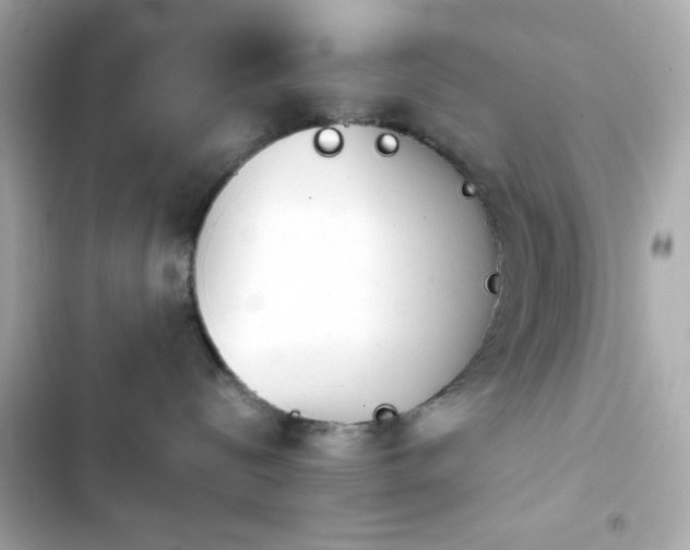 X0000103930288200809191358