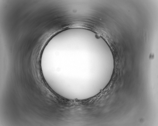 X0000103930289200809191357
