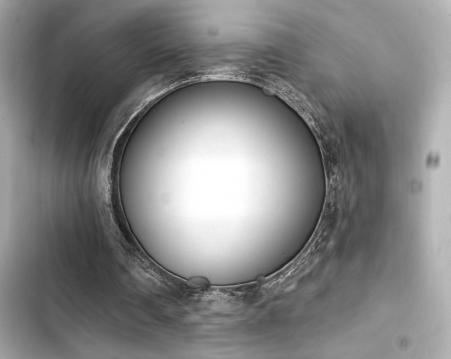 X0000103930290200809191357