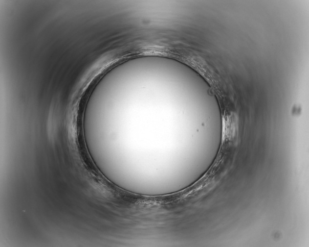 X0000103930291200809191357