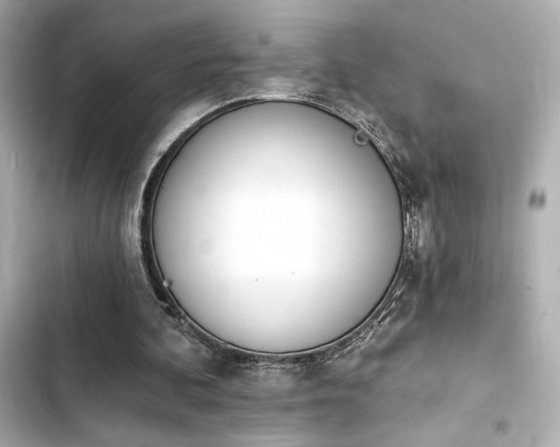 X0000103930292200809191357
