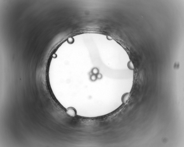 X0000103930293200809191357
