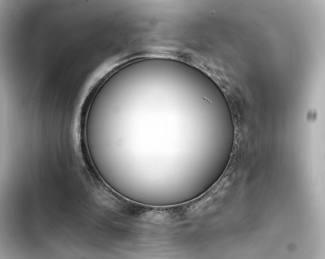 X0000103930294200809191357