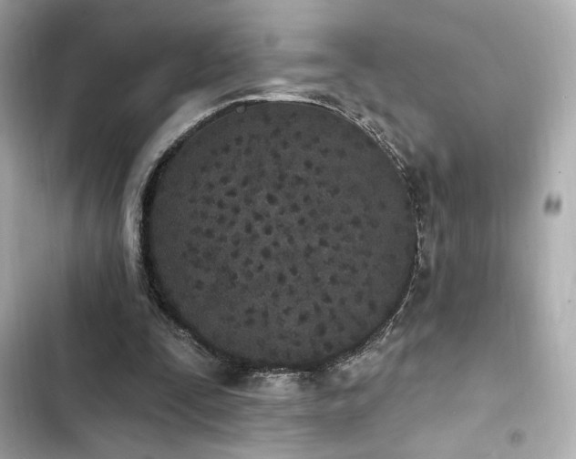 X0000103930295200809191357