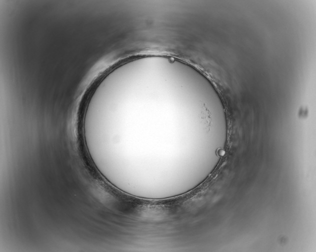 X0000103930296200809191357