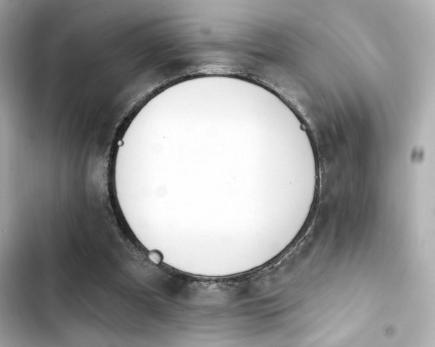 X0000103930297200809191357