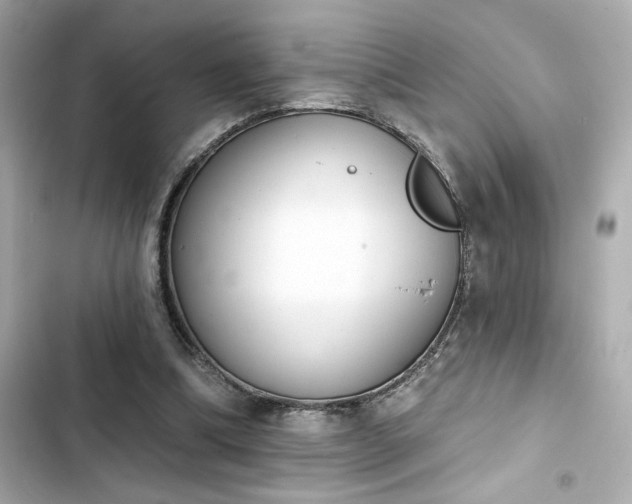X0000103930298200809191357