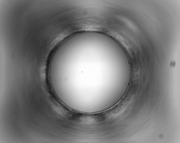 X0000103930299200809191357