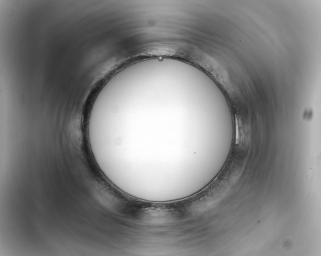 X0000103930300200809191357