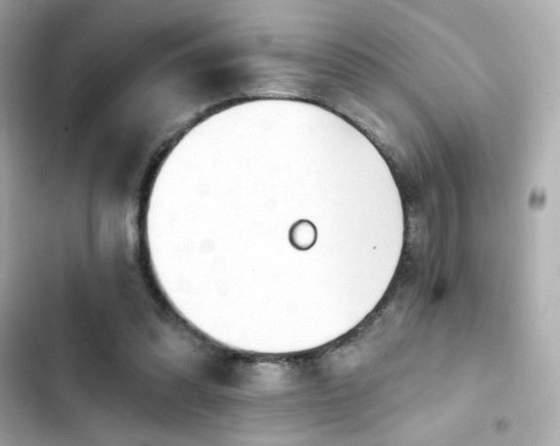 X0000103930302200809191357