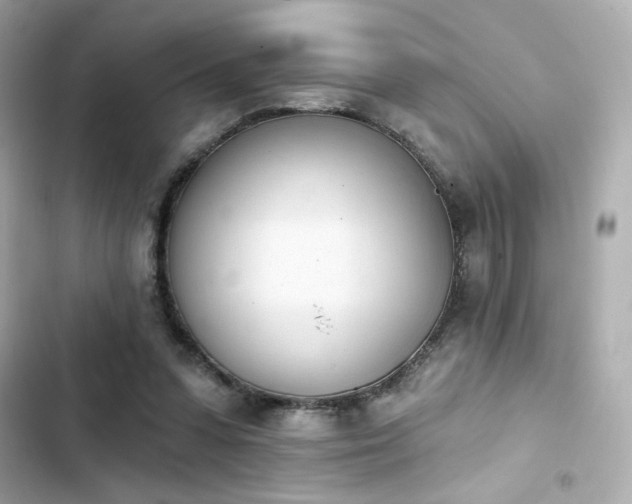 X0000103930303200809191357