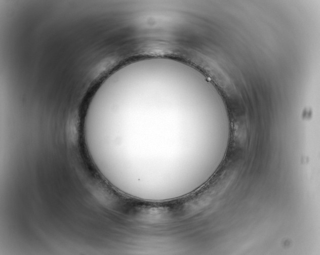 X0000103930304200809191357