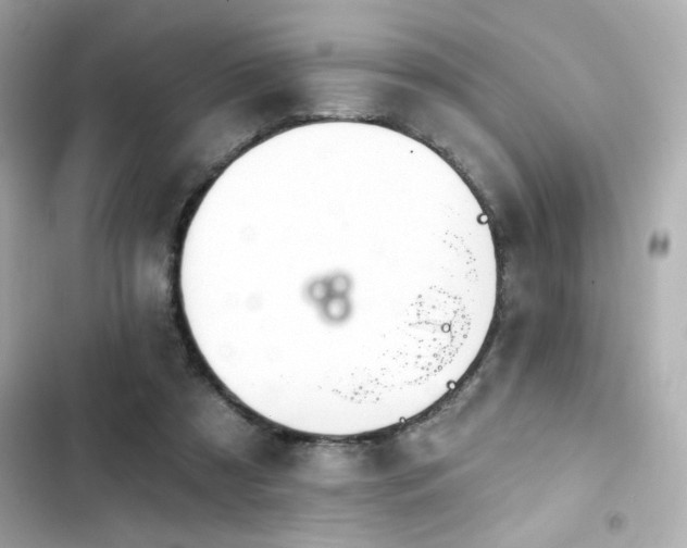 X0000103930305200809191357
