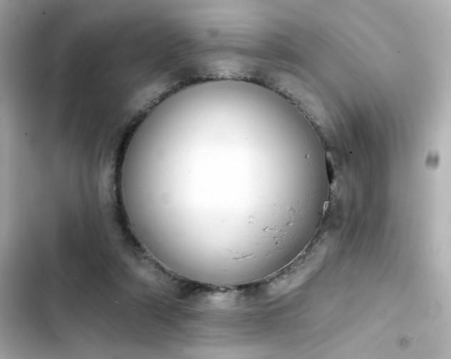 X0000103930306200809191357