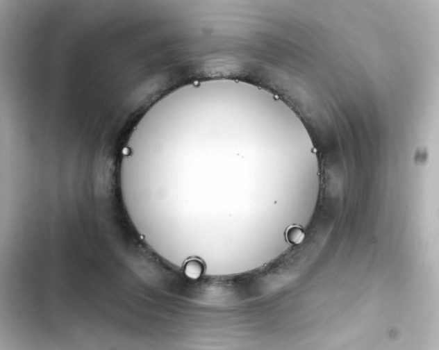 X0000103930308200809191357