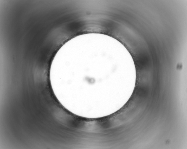X0000103930309200809191357