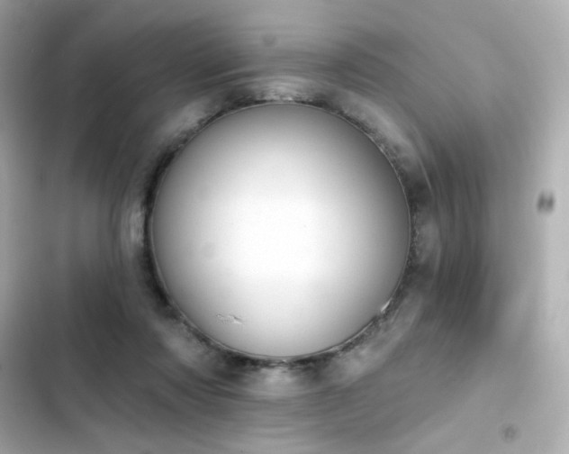 X0000103930310200809191357