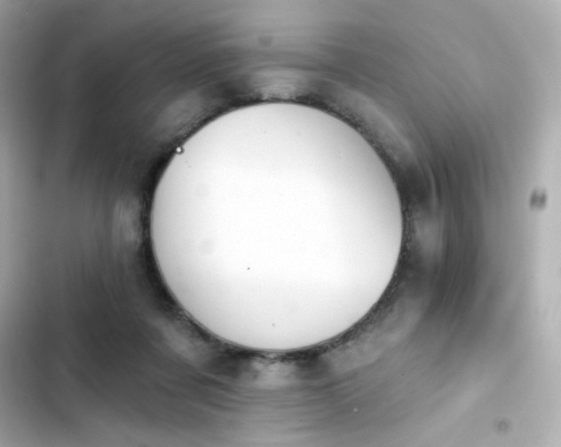 X0000103930311200809191357
