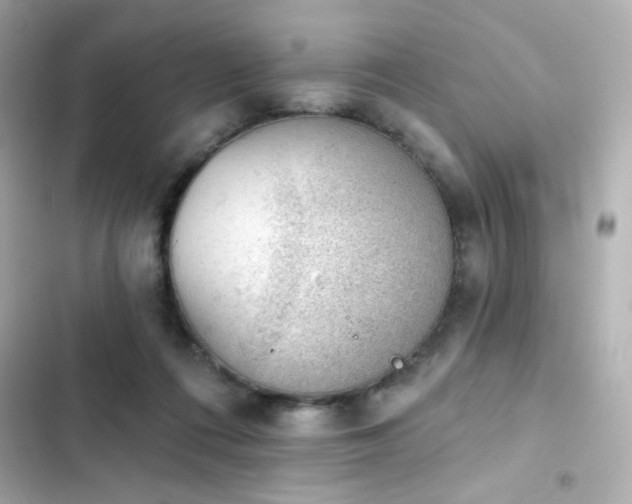 X0000103930312200809191357