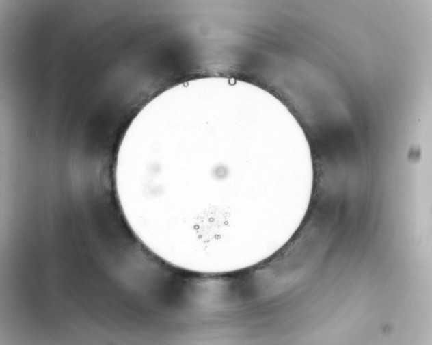 X0000103930313200809191357
