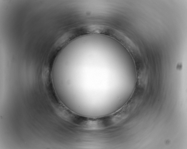 X0000103930314200809191357
