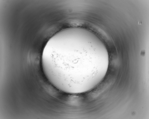 X0000103930315200809191357