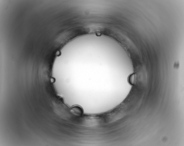 X0000103930316200809191357