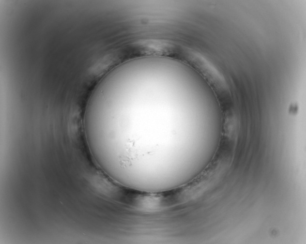 X0000103930318200809191357