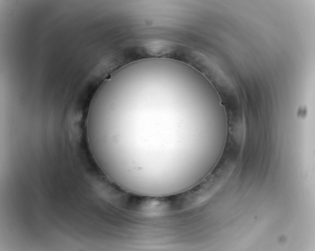 X0000103930319200809191357