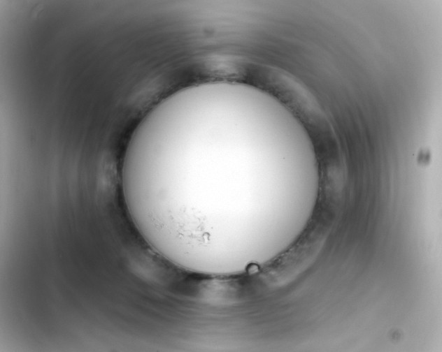 X0000103930320200809191357
